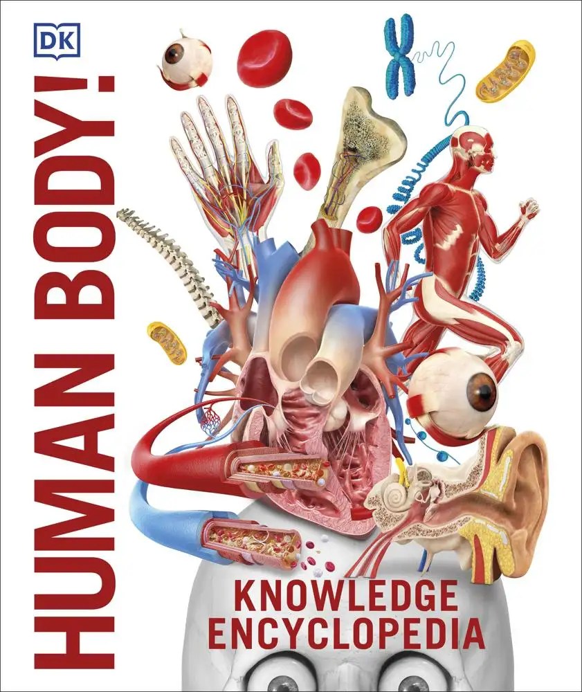 DK CHILDREN - Knowledge Encyclopedia Human Body! - DK