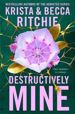 Pan Macmillan - Destructively Mine