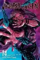 Viz Media, Subs. of Shogakukan Inc - Jujutsu Kaisen, Vol. 14 - Akutami, Gege