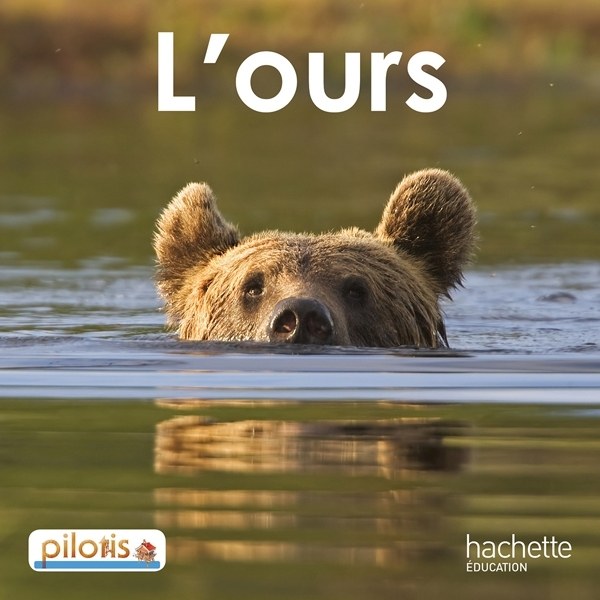 HACHETTE - Collection Pilotis - L'ours