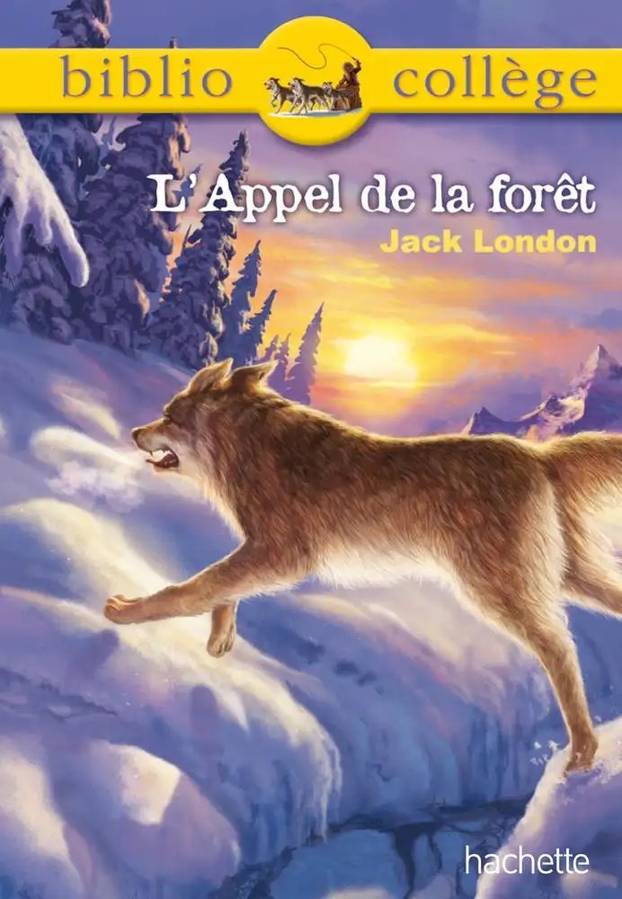 HACHETTE - L'appel De La Foret