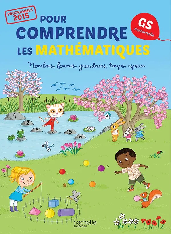 HACHETTE - Pour Comprendre Les Maths Gs  15