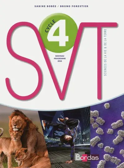 BORDAS - SVT Cycle 4  17