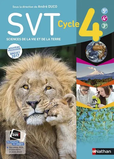 NATHAN - SVT Duco Cycle 4 17