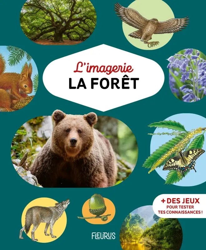 FLEURUS - L'imagerie - La Foret