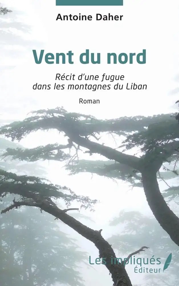 IMPLIQUES - Vent Du Nord