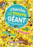 PHILIPPE AUZOU - Cherche et trouve geant - Dans le temps