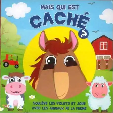 MAXILIVRES - Mais Qui Est Cache