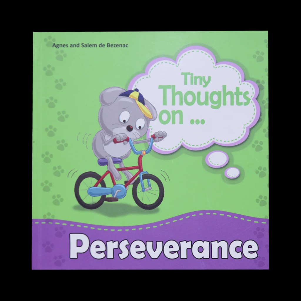 DAM - Tiny Thoughts - On Perseverance