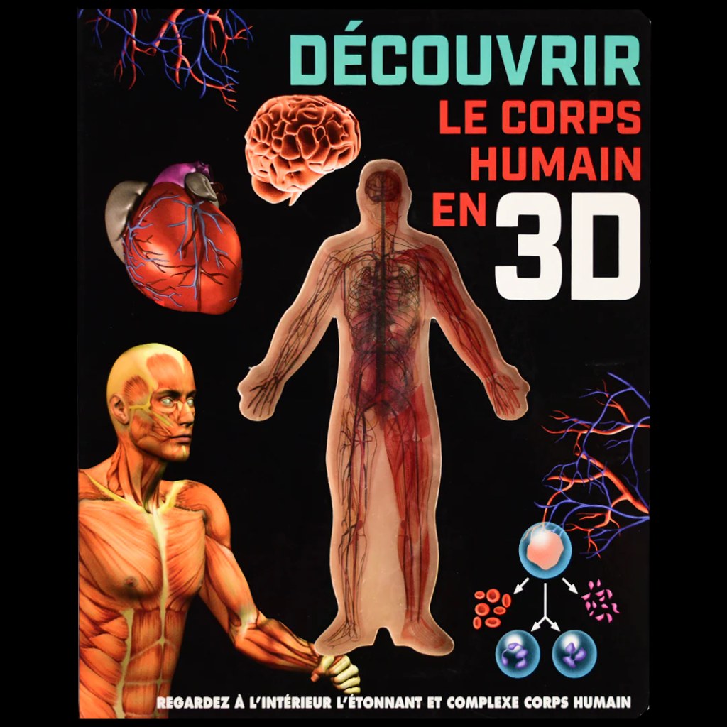 DAM - Decouvrir Le Corps Human En 3D