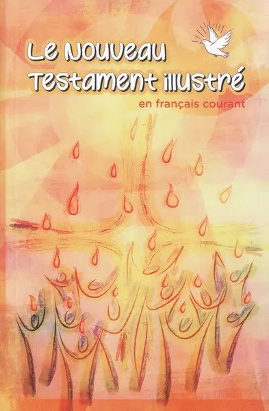 BIBLE SOCIETY - French NT Illustre