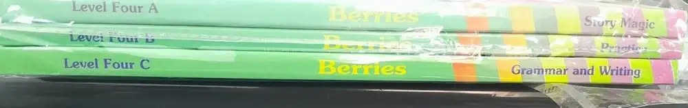 W.H - Berries Level 4