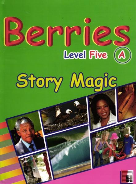 W.H - Berries Level 5