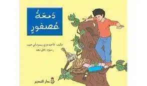 دار النديم - دمعة عصفور