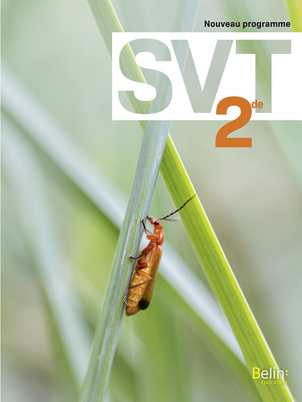 BELIN - SVT 2DE 2019
