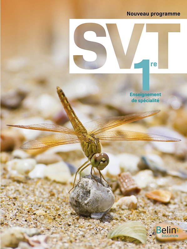 BELIN - SVT 1re 2019